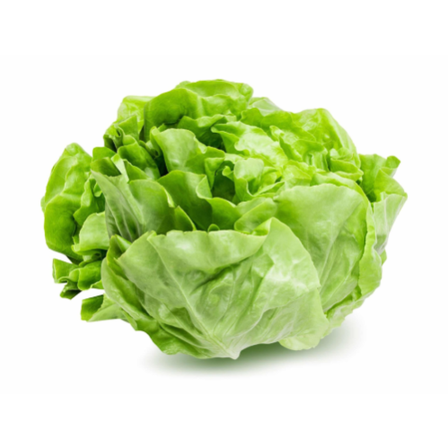 LETTUCE