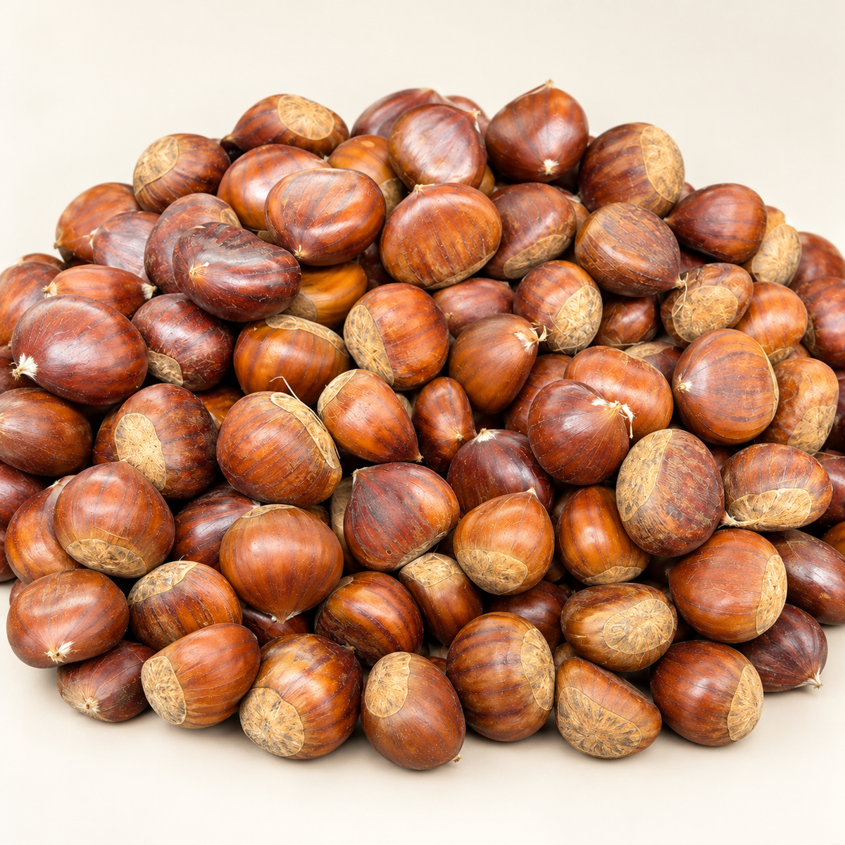 Fresh whole Portuguese chestnuts on a warm ivory background